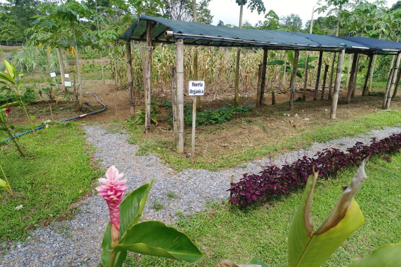 Hope Garden, Sarapiqui, We Connect You With The Sarapiqui Tropical Forest Bagian luar foto
