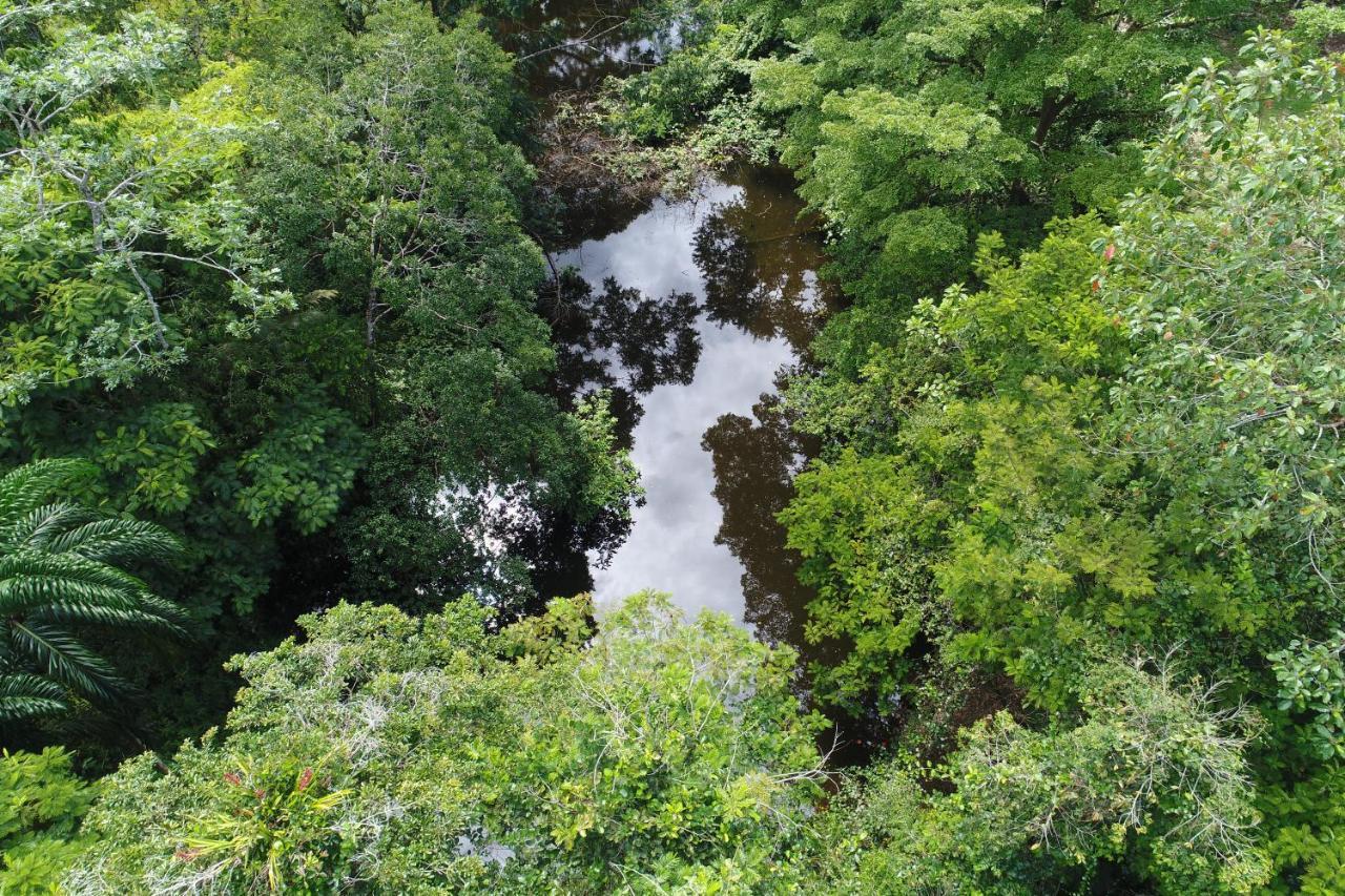 Hope Garden, Sarapiqui, We Connect You With The Sarapiqui Tropical Forest Bagian luar foto