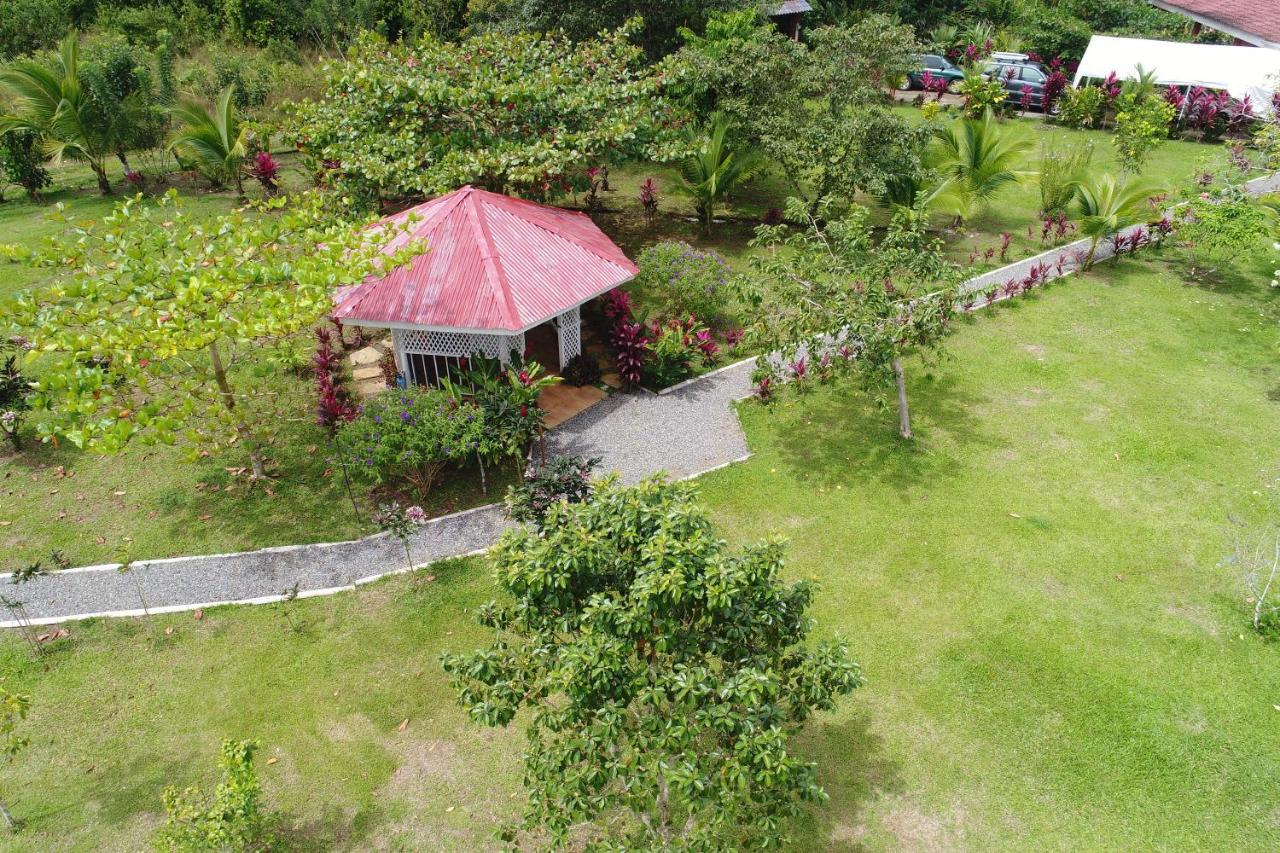 Hope Garden, Sarapiqui, We Connect You With The Sarapiqui Tropical Forest Bagian luar foto