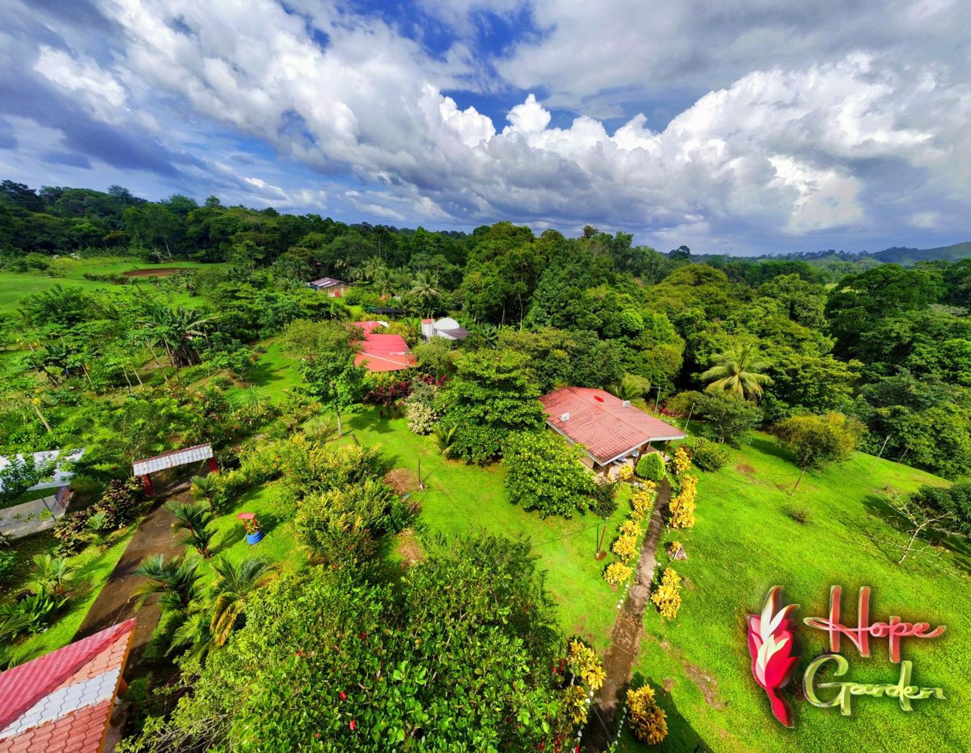 Hope Garden, Sarapiqui, We Connect You With The Sarapiqui Tropical Forest Bagian luar foto
