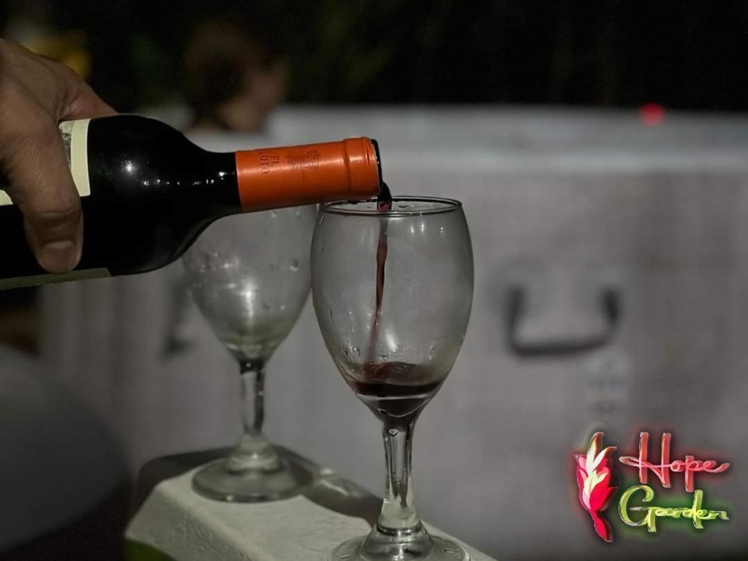 Hope Garden, Sarapiqui, We Connect You With The Sarapiqui Tropical Forest Bagian luar foto