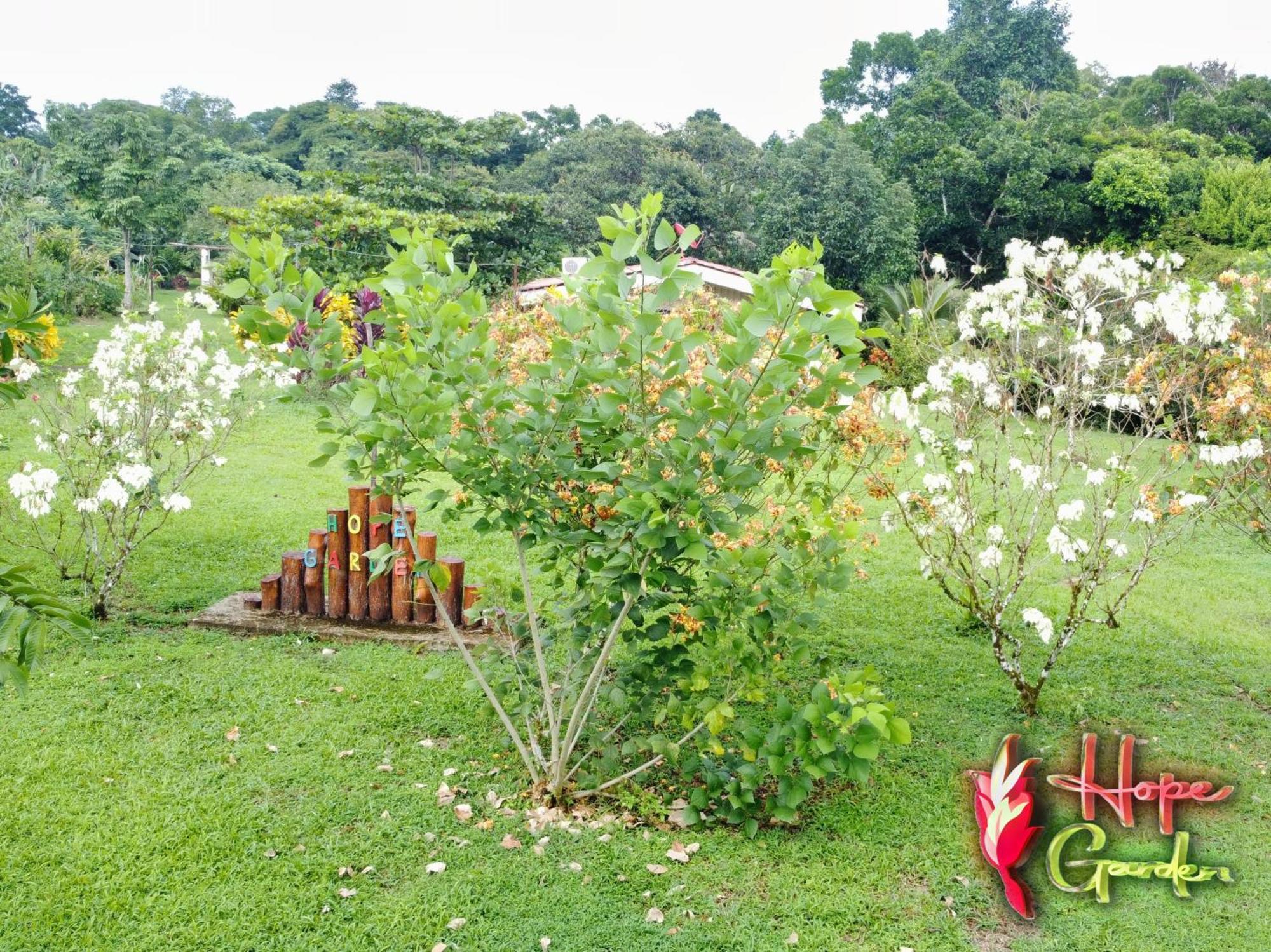 Hope Garden, Sarapiqui, We Connect You With The Sarapiqui Tropical Forest Bagian luar foto