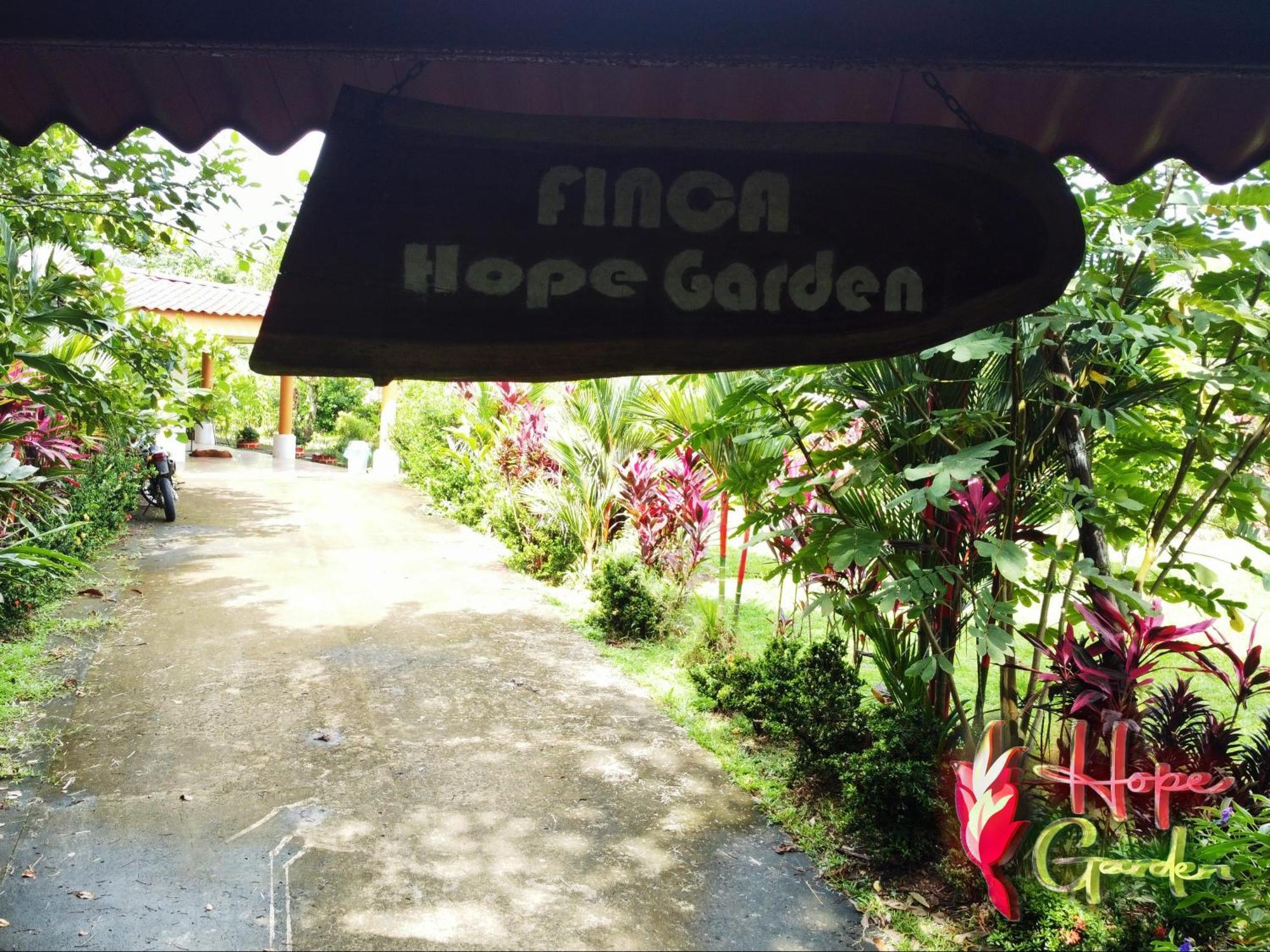Hope Garden, Sarapiqui, We Connect You With The Sarapiqui Tropical Forest Bagian luar foto