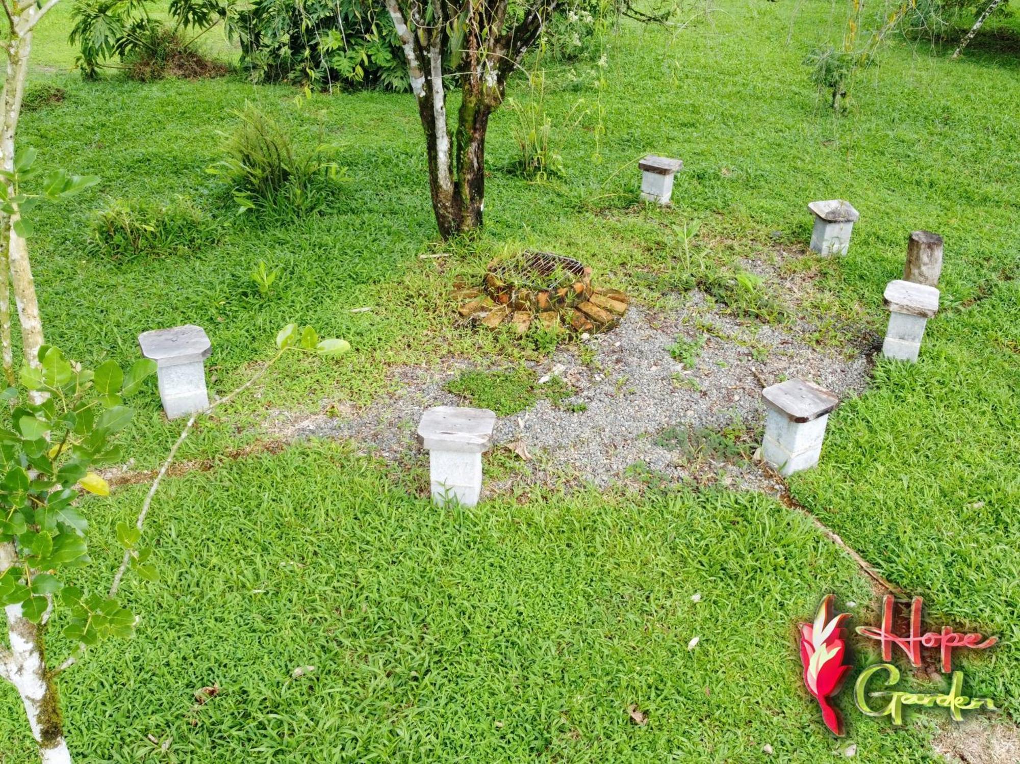 Hope Garden, Sarapiqui, We Connect You With The Sarapiqui Tropical Forest Bagian luar foto