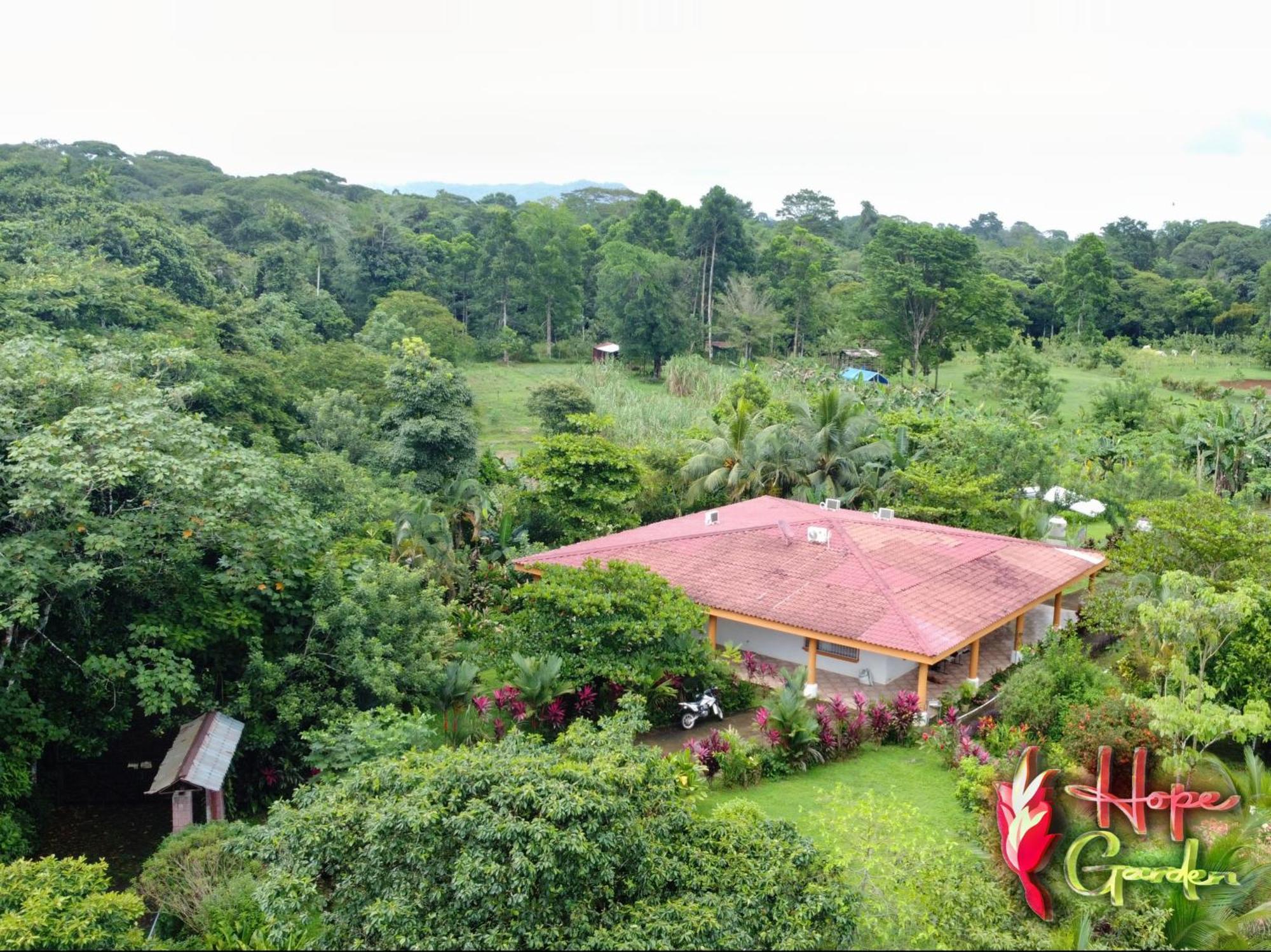 Hope Garden, Sarapiqui, We Connect You With The Sarapiqui Tropical Forest Bagian luar foto