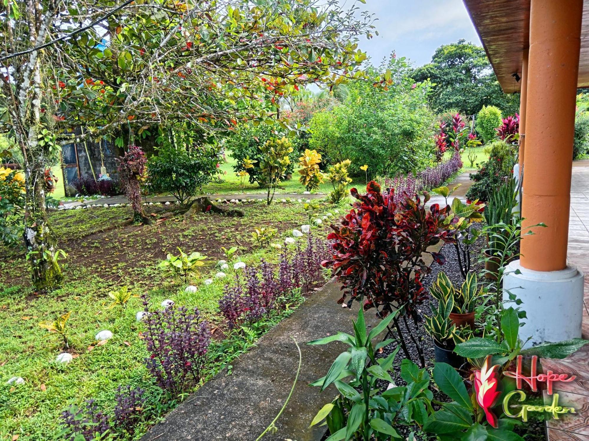 Hope Garden, Sarapiqui, We Connect You With The Sarapiqui Tropical Forest Bagian luar foto
