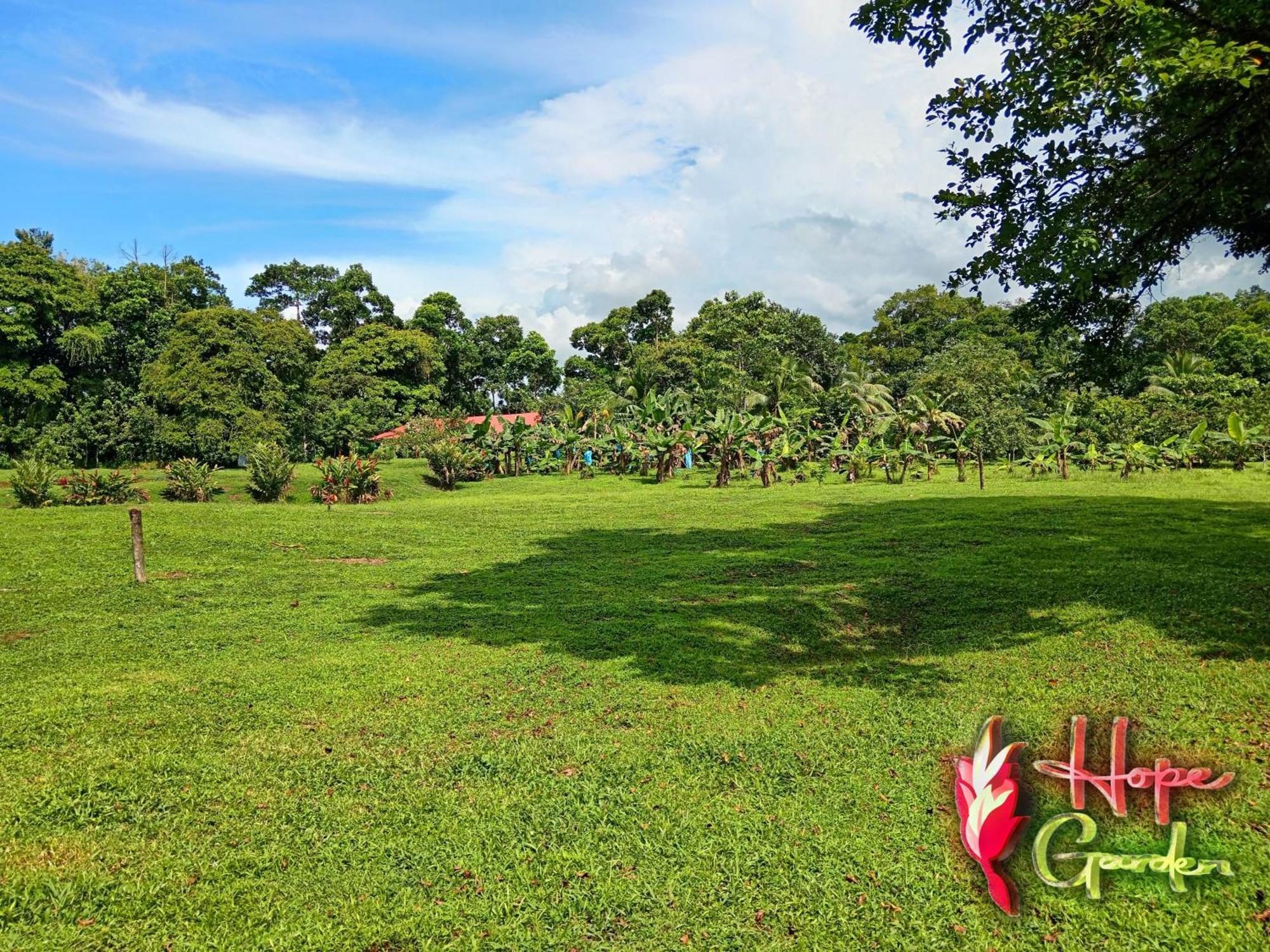 Hope Garden, Sarapiqui, We Connect You With The Sarapiqui Tropical Forest Bagian luar foto